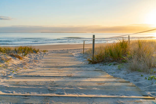 Papamoa beach and coastal landscape